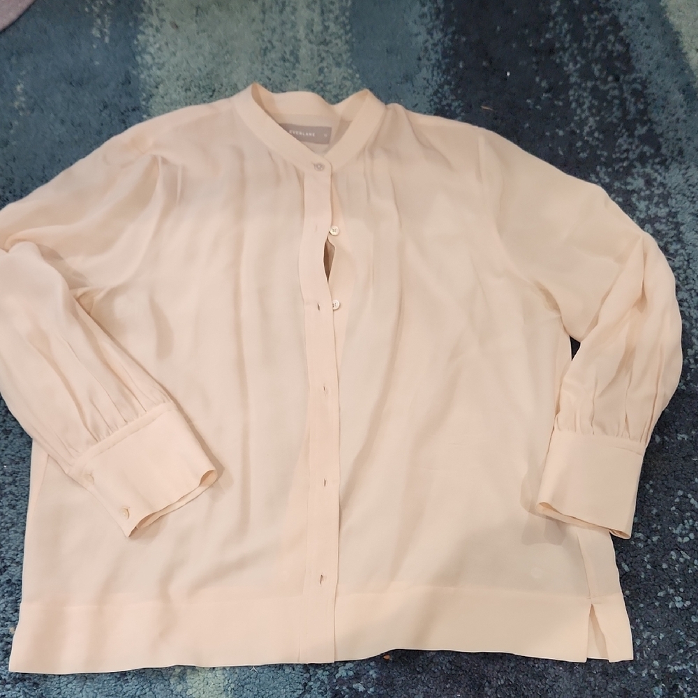 Everlane Women's Pale Pink Silk Blouse 10